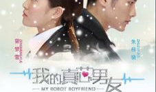 我的真芯男友 电视剧,揭秘现代都市爱情密码