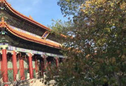 颐和园 电视剧,皇家园林的传奇岁月